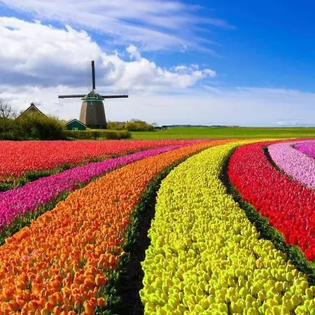 Lejlighed Janssen In